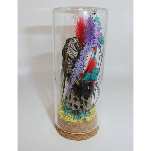 Cicada Wasp Nest & Carpenter Bee Oddity Jar curiosity dome insect taxidermy goth - Picture 7 of 15